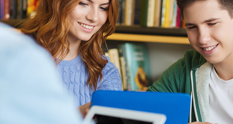 Essay Writing Services
